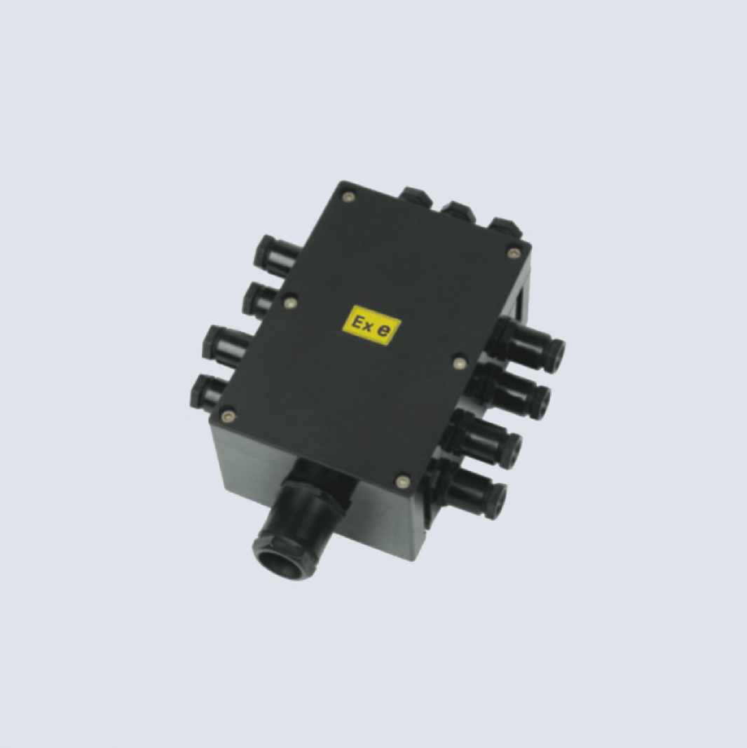BJX8050系列防爆防腐接線箱(II C、 ExtD)